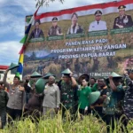 Ketahanan Energi Papua, Pilar Menuju Kemandirian Energi Nasional