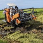 Papua Jadi Prioritas Pengembangan Energi Berkelanjutan