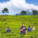 Value Chain Pangan: Peran Hilirisasi dalam Ketahanan Pangan Nasional