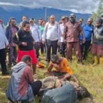 Bupati Intan Jaya Minta TPNPB Angkat Kaki dari Pemukiman Warga