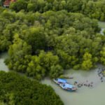 Biodiversity Credit dan Masa Depan Pembiayaan Ekonomi Hijau Indonesia