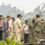 Pemerintah Kaji Sanksi Karhutla agar Masuk Kategori Terorisme Ekologi