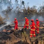 Respons Cepat dan Terpadu Atasi Karhutla di Sejumlah Wilayah
