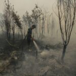 Pengawasan Masuk sampai ke Lahan, Karhutla Berhenti Jadi Kejadian Musiman —